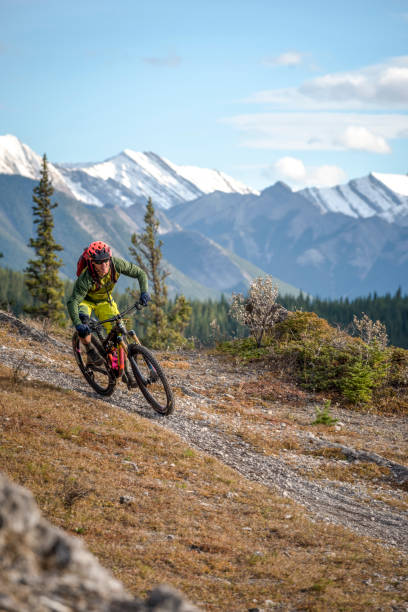 istock View of mountain biker following trail down mountain 1333281309