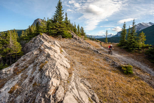 istock View of mountain bikers following trail down mountain 1333281318