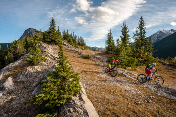 istock View of mountain bikers following trail down mountain 1333281325
