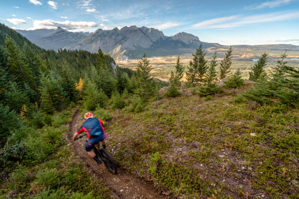 istock View of mountain biker following trail through forest 1333281327