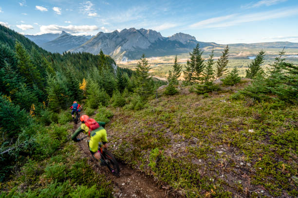 istock View of mountain bikers following trail through forest 1333281330