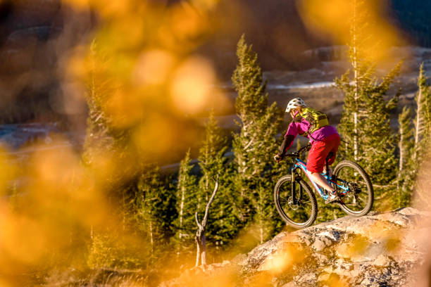 istock View of mountain biker descending through forest 1333281345