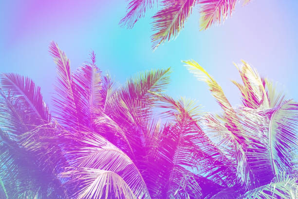 istock Blurred colorful coconut palm trees frame Pastel retro color Gradient light colourful nature background. 1333281952