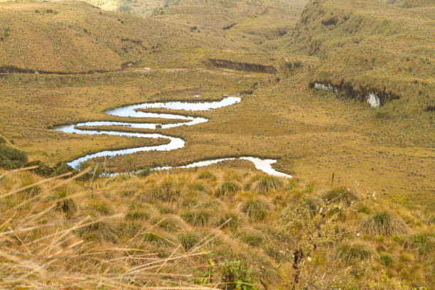 istock Andes river at Amazon Paramo in Napo Province, Ecuador 1333282650
