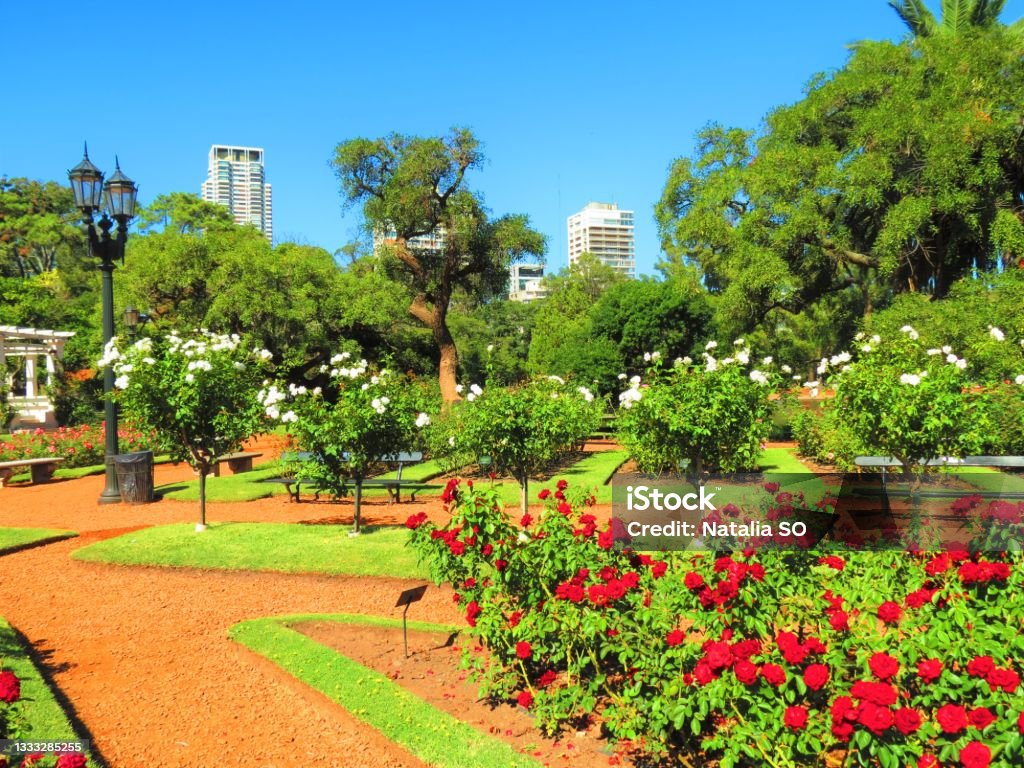 The Rosedal Park in Parque Tres de Febrero at the Palermo. Buenos Aires Parks. The Rosedal Park in Parque Tres de Febrero at the Palermo. Buenos Aires public Parks also known as "Bosques de Palermo" in capital city of Argentina.Buenos Aires, Argentina. Argentina Stock Photo