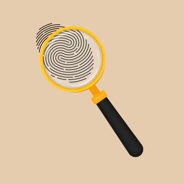 Magnifying glass and fingerprint Magnifying glass and fingerprint. Search concept, evidence, detective. Vector illustration. detective investigation stock illustrations