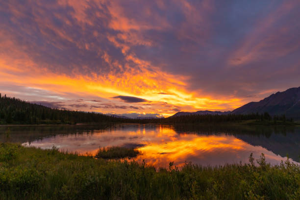 Sunset Sky at 3am in Alaska Denali Highway is a lightly traveled, mostly gravel highway in the U.S. state of Alaska. It leads from Paxson on the Richardson Highway to Cantwell on the Parks Highway. Opened in 1957, it was the first road access to Denali National Park. midnight sun stock pictures, royalty-free photos & images