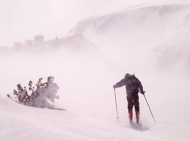 istock Back country skier walking in a storm 133329990