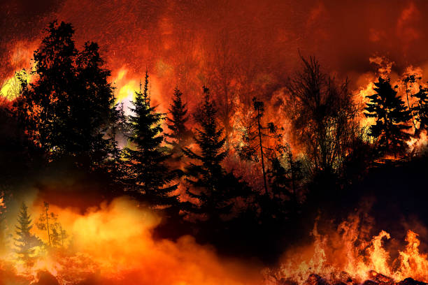 massives kalifornisches wildfeuer, das tausende von menschen zwingt, ihre häuser zu evakuieren, waldbrände, die sich schnell ausbreiten, fliehen, um ihr leben zu retten, zerstörte silhouette, naturkatastrophe - wildfire smoke stock-fotos und bilder