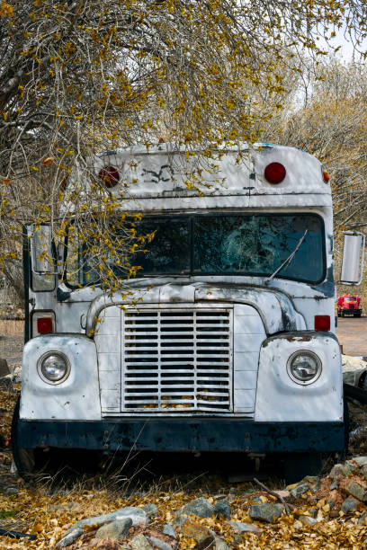istock Old Disused School Bus 1333315255