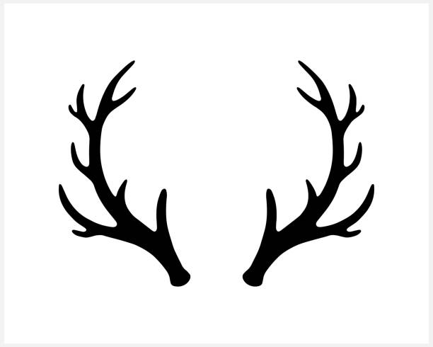 角エルクや鹿のアイコンは白に隔離されています。シルエットクリスマスシンボル。[xmas] ステンシル。ベクトルストックのイラスト。eps 10 - アメリカアカシカ点のイラスト素材／クリップアート素材／マンガ素材／アイコン素材