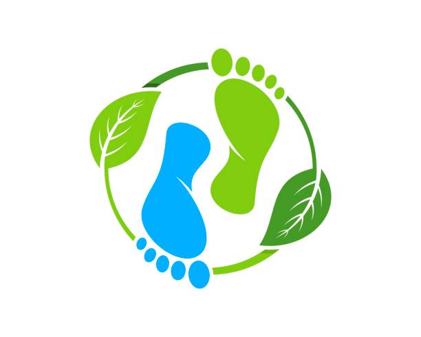 illustrazioni stock, clip art, cartoni animati e icone di tendenza di foglia naturale circolare con cura sana del piede all'interno - environmental footprint