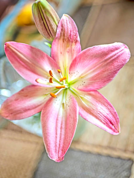 istock fresh light purple lilies in a vase 1333319381