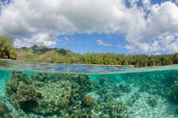 istock lagoon of moorea 1333322047