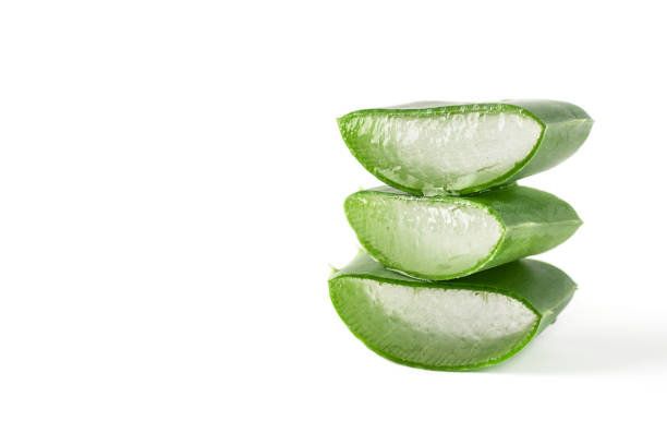 istock Aloe vera plant slices isolated on white background. 1333322809
