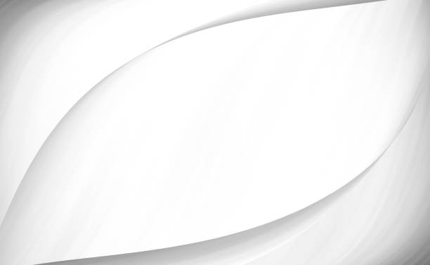 istock The gray and silver are light black with white the gradient is the Surface with templates metal texture soft lines tech gradient abstract diagonal background silver black sleek  with gray and white. 1333322836