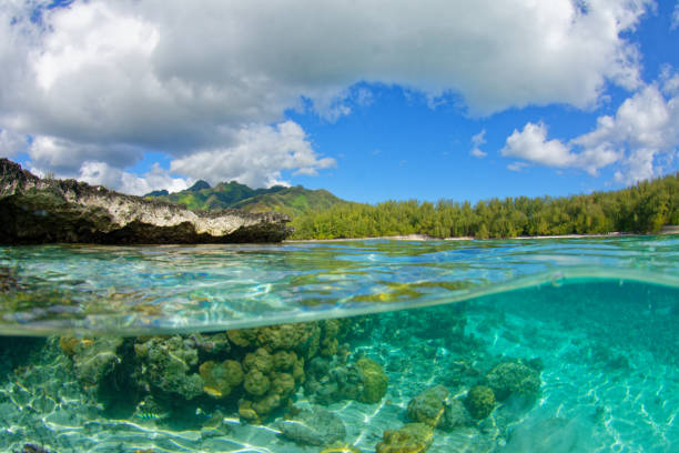 istock lagoon of moorea 1333322948