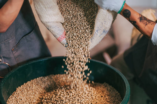 menschliche hand gießen rohe kaffeebohne aus sack auf lagereimer eimer mit schaufelgewichtung und mischung - coffee sack bag warehouse stock-fotos und bilder