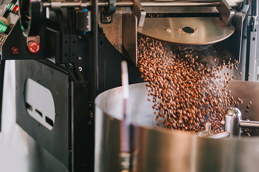Freshly roasted coffee beans being removed from the roaster where they will be cooled down.
Hot freshly baked coffee beans fall from best professional large coffee roaster being poured into the cooling cylinder with motion blur on the bean
