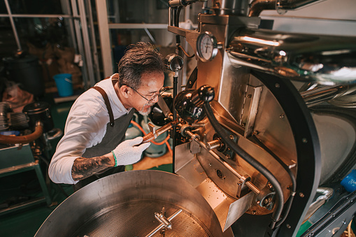 asian chinese senior man craftsperson holding Trier extracting coffee beans  from coffee roaster Roasting Raw Coffee Beans smelling checking
