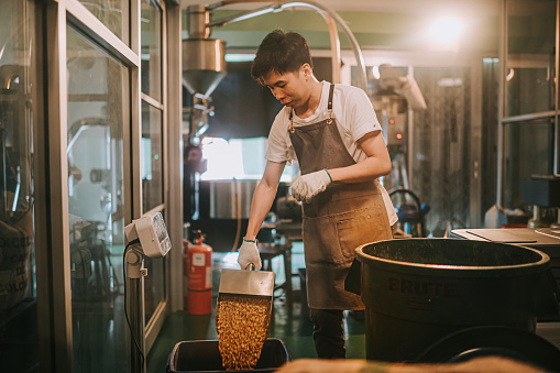 asian chinese male worker scooping raw coffee beans from bucket to weighing machine and blending it for coffee roasting process in factory warehouse