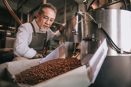 Asian chinese senior man craftsperson examining roasted coffee bean de-stoning stone removal process after spinning out from cooling process in his factory