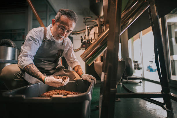 artesão chinês chinês examinando o processo de remoção de pedra de feijão torrado após girar para fora do processo de resfriamento em sua fábrica - comidas e bebidas artesanais - fotografias e filmes do acervo