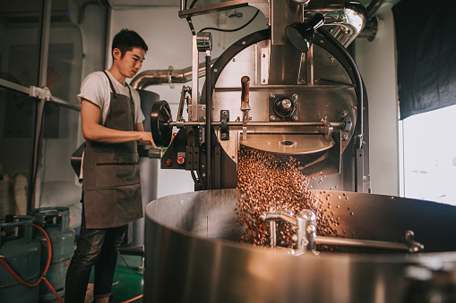 Asian  craftsperson observing Freshly roasted coffee beans being removed from the roaster into the cooling cylinder with motion blur dropping point