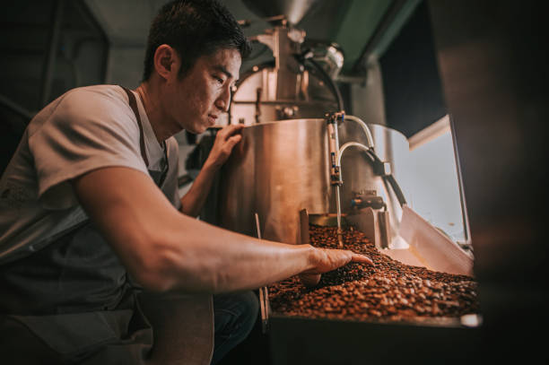 istock Asian chinese  craftsperson examining roasted coffee bean de-stoning stone removal process after spinning out from cooling process in his factory 1333324004