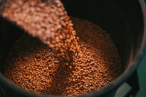 high angle view  pouring raw coffee bean on storage pail with scoop weighting and blending