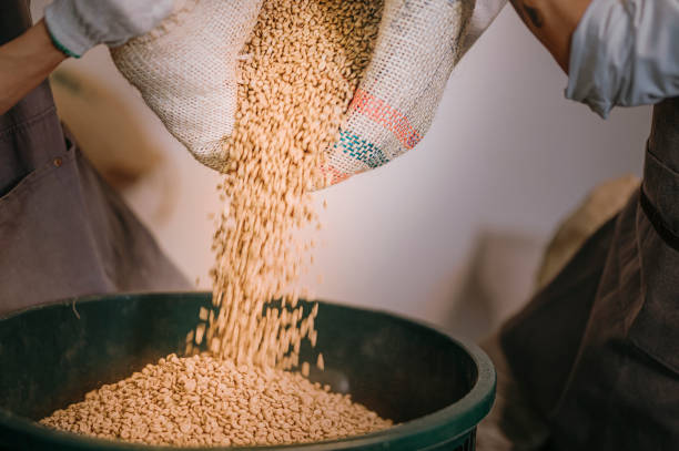 high angle view human hand pouring raw coffee bean from sack on storage pail with scoop weighting and blending