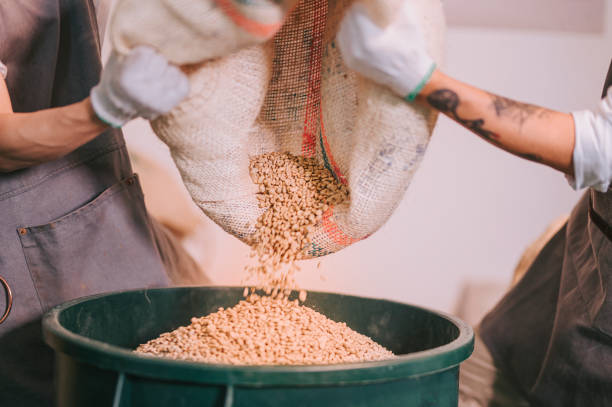 high angle view human hand pouring raw coffee bean from sack on storage pail with scoop weighting and blending - bag coffee bean bean food imagens e fotografias de stock