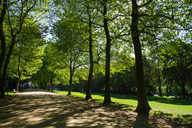 istock Holidays in Belgium. Discovering Brussels 1333324221