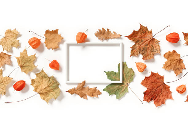 Blank photo frame, physalis flowers, dried maple and oak leaves isolated on white background. Autumn, fall, thanksgiving day concept. Flat lay. Top view. Copy space. stock photo