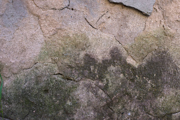 istock Old dirty wall close up. Grunge abstract photo background. 1333325711