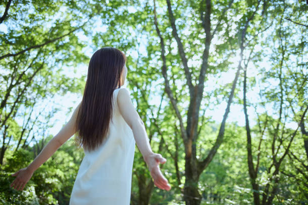 Young Japanese woman relaxing in the woods Young Japanese woman relaxing in the woods forest bathing photos stock pictures, royalty-free photos & images