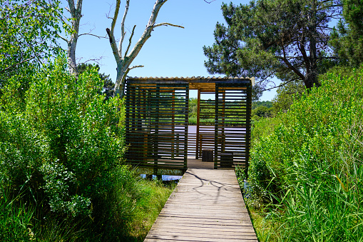 Wooden pathway in the forest with wood nature and bird watching hut in la teste de buch france