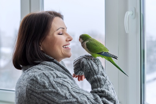 Middle aged woman and parrot together, female bird owner talking looking at green quaker pet. Winter snow in window, home lifestyle in winter season, people 40s of age, love, care concept