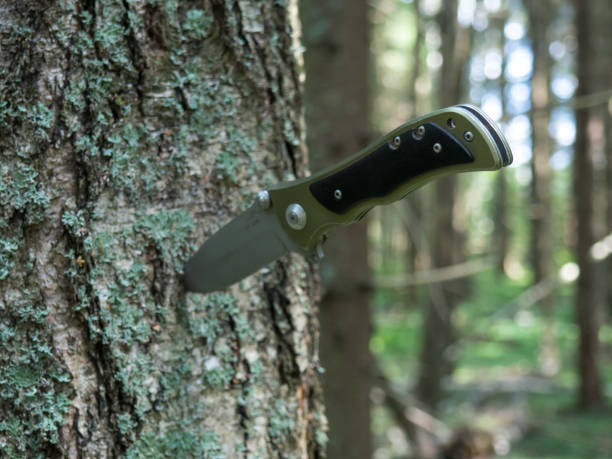 istock hunting knife on a forest background close-up 1333332388