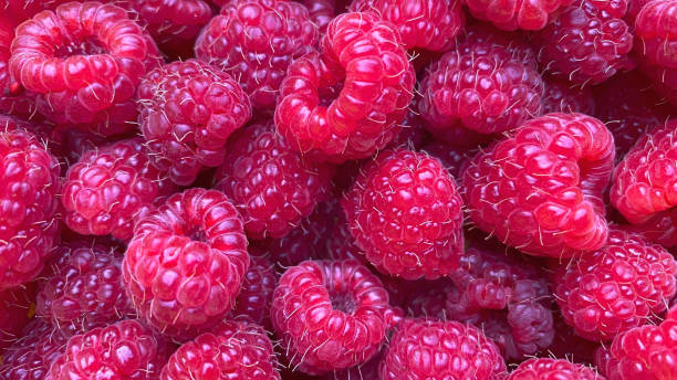 istock Texture background from a large number of raspberries 1333334200