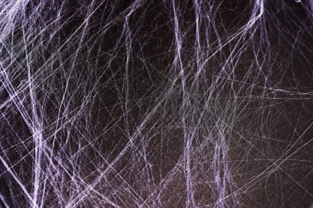 istock Abstract Spiderweb on black background, halloween decoration 1333335579