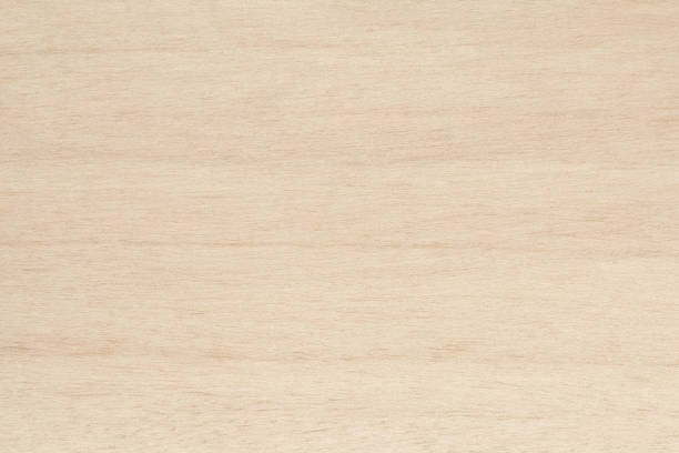 istock Plywood texture background, wooden surface in natural pattern for design art work. 1333336840