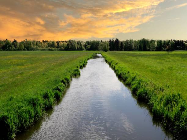 istock River, dramatic skies and green meadows 1333337544