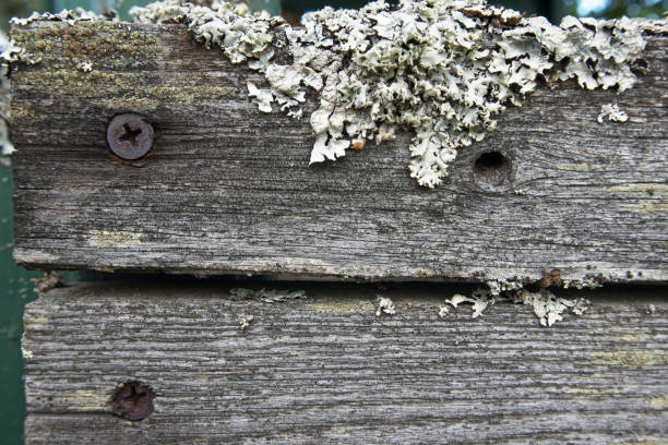 Old grey wooden planks horizontal background