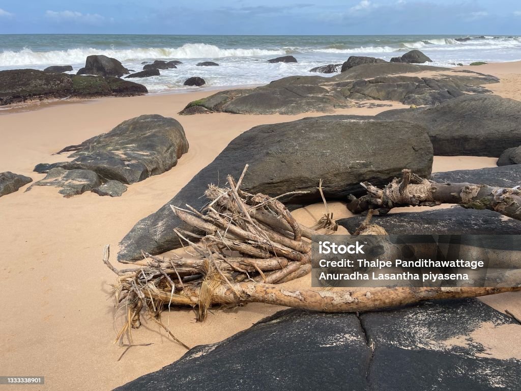 Art created by the fallen tree into sea This is a watakeiya tree wash away from the shore due to heavy waves. This has been created nice combination of art together with boulders. Abstract Stock Photo