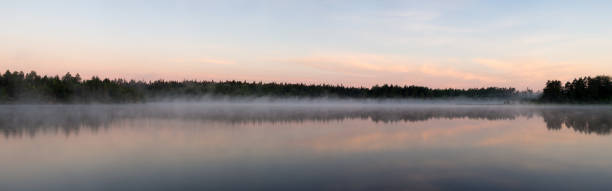 istock panorama of a forest lake 1333341122