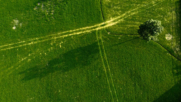 istock Drone photo at sunset 1333342446