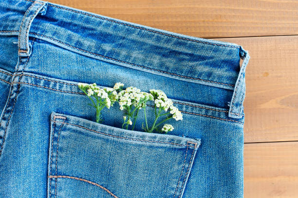 istock camomile in jeans pocket. studio macro shot. 1333342977