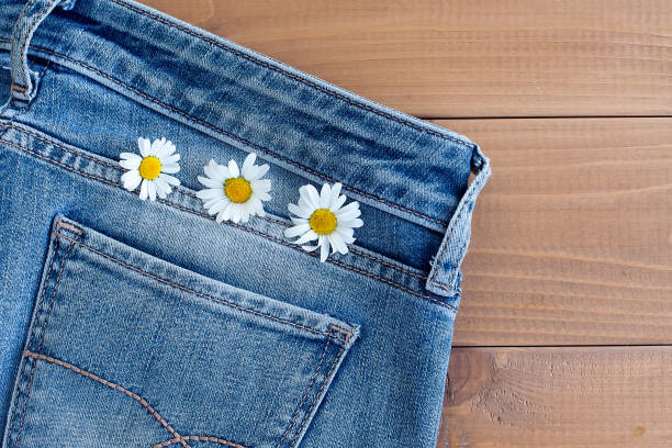 istock camomile in jeans pocket. studio macro shot. 1333342990