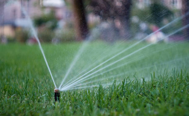 istock Automatic watering of the green grass lawn 1333344342